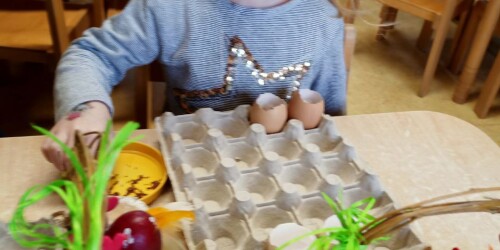 Dzieci sieją rzeżuchę w skorupkach po jajkach