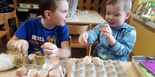 Dwaj chłopcy sieją rzeżuchę w skorupkach po jajkach